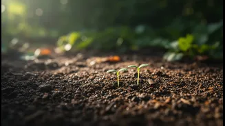 Regional Varieties Need Stories About Growers, Soil and Season
