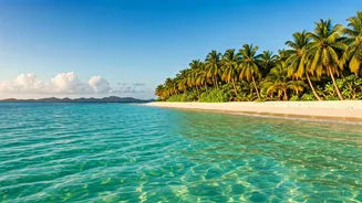 Vietnam Open Borders Launch Massive Tropical Vacation Rush Online