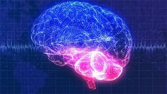 Sensitive Information And AI: What Workers Need To Check Before Uploading