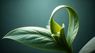 Unlock Inner Calm: AI-Powered Mindful Breathing for Beginners