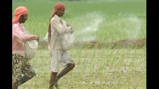 Related Stories banner