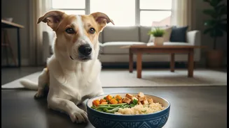 Why customized vet-approved fresh diets are becoming essential for urban household dogs