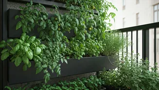 Space Starved Balconies Enter Most Productive Phase Via Vertical Engineering