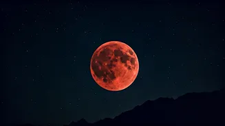 Related Stories banner