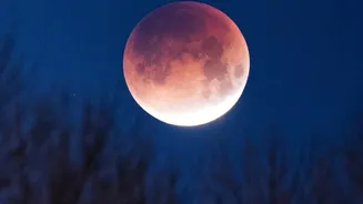 The Science Of A Lunar Eclipse: Why The Moon Appears To Change