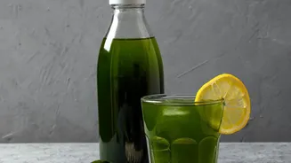 How Fermented Kanji Drinks Provide Urban Readers A Healthy Gut Boost Naturally