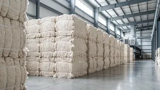 Cotton Shortage Solutions: How Revised Import Directives Help Indian Spinning Mills Stay Operational