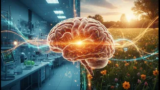 Organ-Age Science Has Entered Youth Feeds