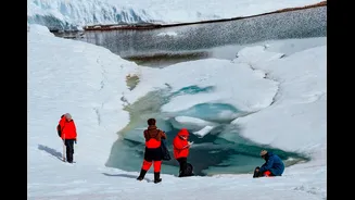 Como bactérias da Antártica podem ajudar a reverter o envelhecimento