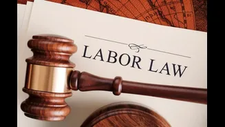 New Labour Codes: How 50% Basic Pay Rule May Impact Your In-Hand Salary