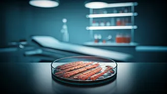 Indore's Bhagirathpura Hit Again: 6 Hospitalized After Food Contamination at Party