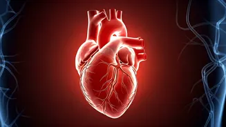 The Omega-3 Deficiency: Understanding the Gap & Impact