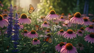 Butterfly Gardens Are Suddenly Everywhere