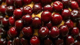 The Best Rain Washed Cherry Fruit Cake For Beginners