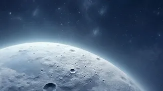 How Shaded Lunar Terrain Changes the Odds for Microbe Persistence