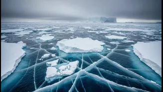 What Antarctica's Sea Ice Changes Could Mean Next