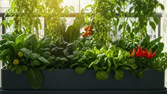 Grow Healthy Vegetables Right Outside Your Door