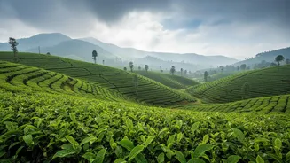 Rain Alerts Across Popular Destinations Make Smart Planning A Must This August