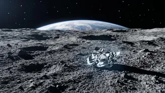 Could Microbial Hitchhikers Confuse Future Searches for Ancient Lunar Chemistry?