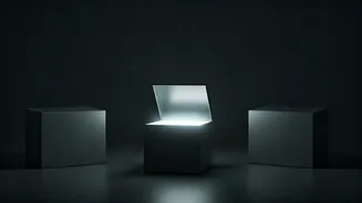 Unlock Your Workplace Potential: The Box Test for Career Success