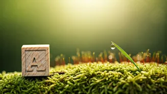 Charming Three-Letter Baby Names: Short, Sweet, and Deeply Meaningful