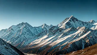 Related Stories banner