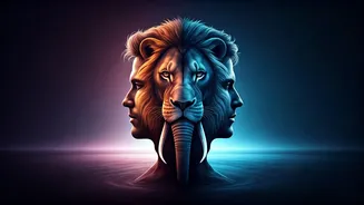 Related Stories banner