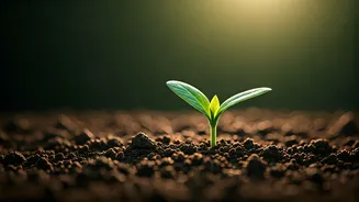 Beyond Lectures: What Children Truly Crave from Their Parents