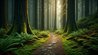 Unexplored Places That Look Magical In Rain