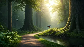 Related Stories banner