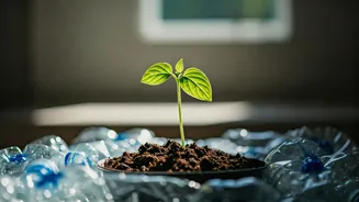 One Easy Habit For A Greener Home