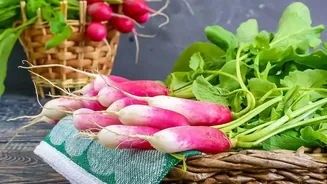 Radish vs Beetroot: How Preparation Changes Their Nutrition Story