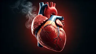 6 Daily Habits Silently Boosting Your Heart Disease Risk, Doctor Explains