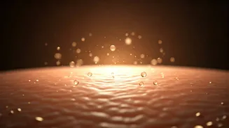 Ceramides Are The Beauty Upgrade Your Skin Needs