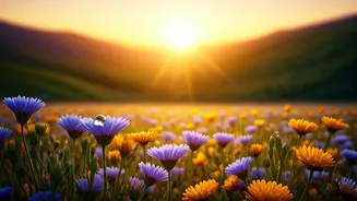 Numerology Horoscope: April 2, 2026 - Embrace Joy for Daily Equilibrium