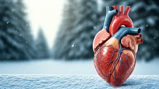 Winter Heart Health: Staying Strong