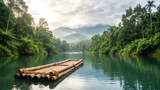 Wayanad Post-Monsoon Green Trips: Budget Homestays And Bamboo Rafting From Kochi