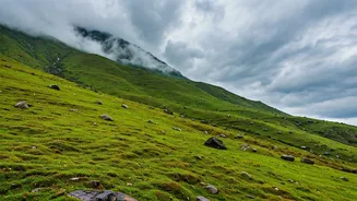 Fresh Rain Brings New Life To North India's Hills