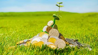 How Splitting Investments Across FD Maturities Boosts Cash Flow Growth