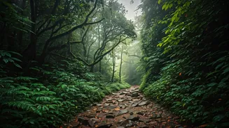 Wayanad Monsoon Chasing Officially Kicks Off Across Western Ghats Trails