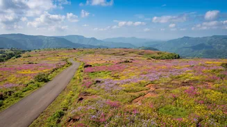 How Western Ghats Road Trips Offer Scenic Escapes Near Satara This Season