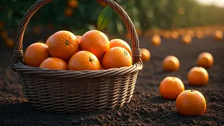 Related Stories banner