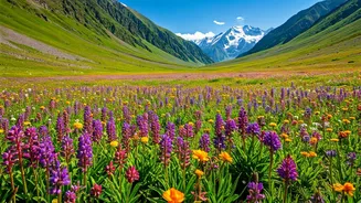 Valley Of Flowers Trips Need More Than Pretty Photos