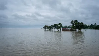 Bihar On Alert After Nepal Flood: What Happens If River Levels Rise