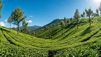 India's Ultimate Travel Calendar: 12 Unmissable Destinations