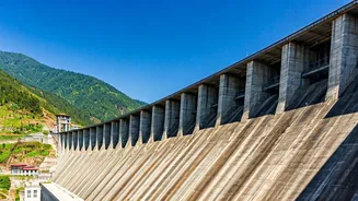 Tata Power's Green Leap: Bhutan Hydro Stake for a Sustainable Future