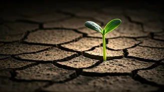 Bhagavad Gita's Wisdom: Embrace Progress, Conquer Fear of Imperfection