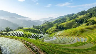 Vietnam And Cambodia In One Trip: What IRCTC Offers From Chennai