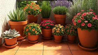 Heat-Tolerant Balcony Plants Are Practical And Pretty