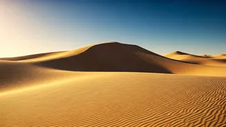 Sam Dunes Are Perfect For Rain-Haters This Season